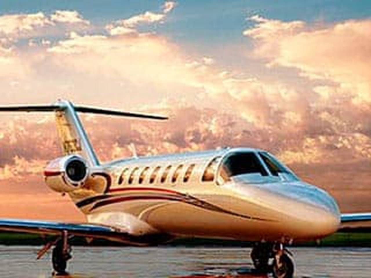   фото внешнего вида