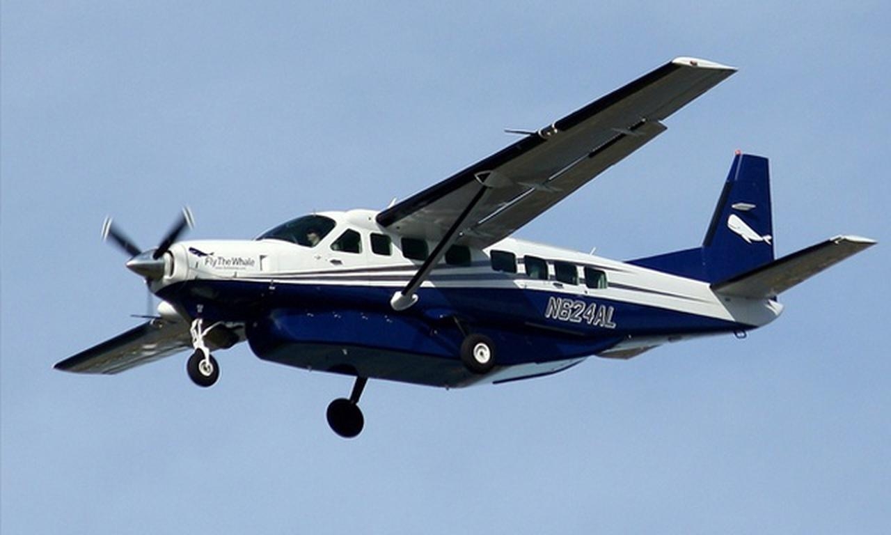   фото внешнего вида