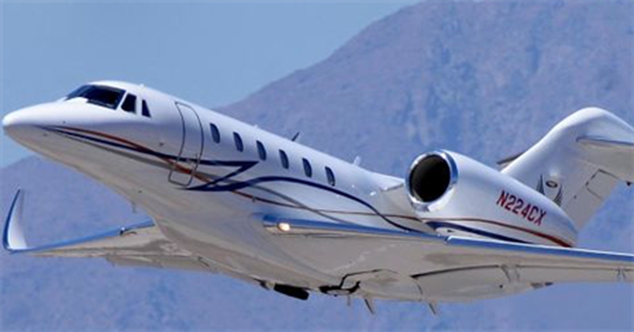   фото внешнего вида