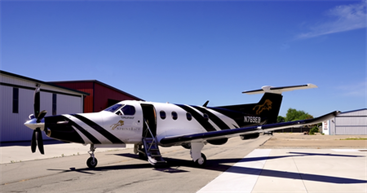   фото внешнего вида