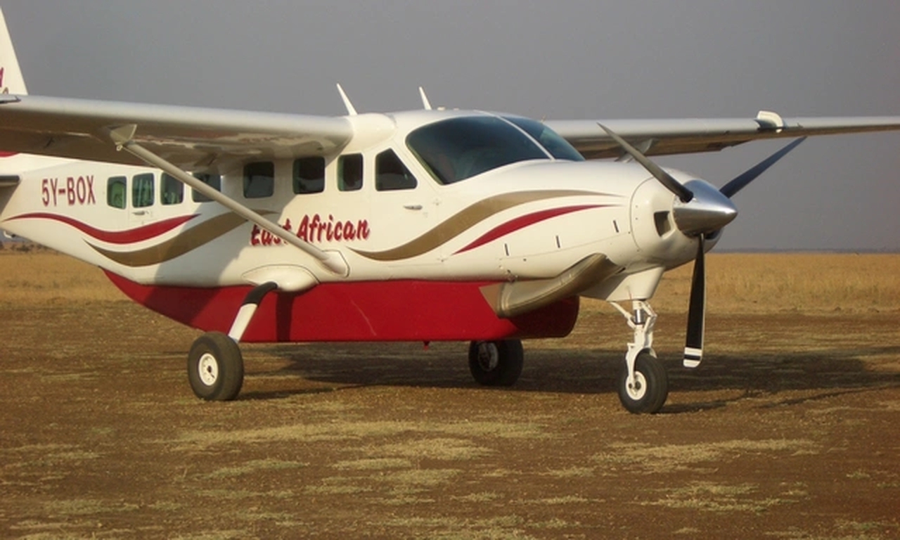   фото внешнего вида