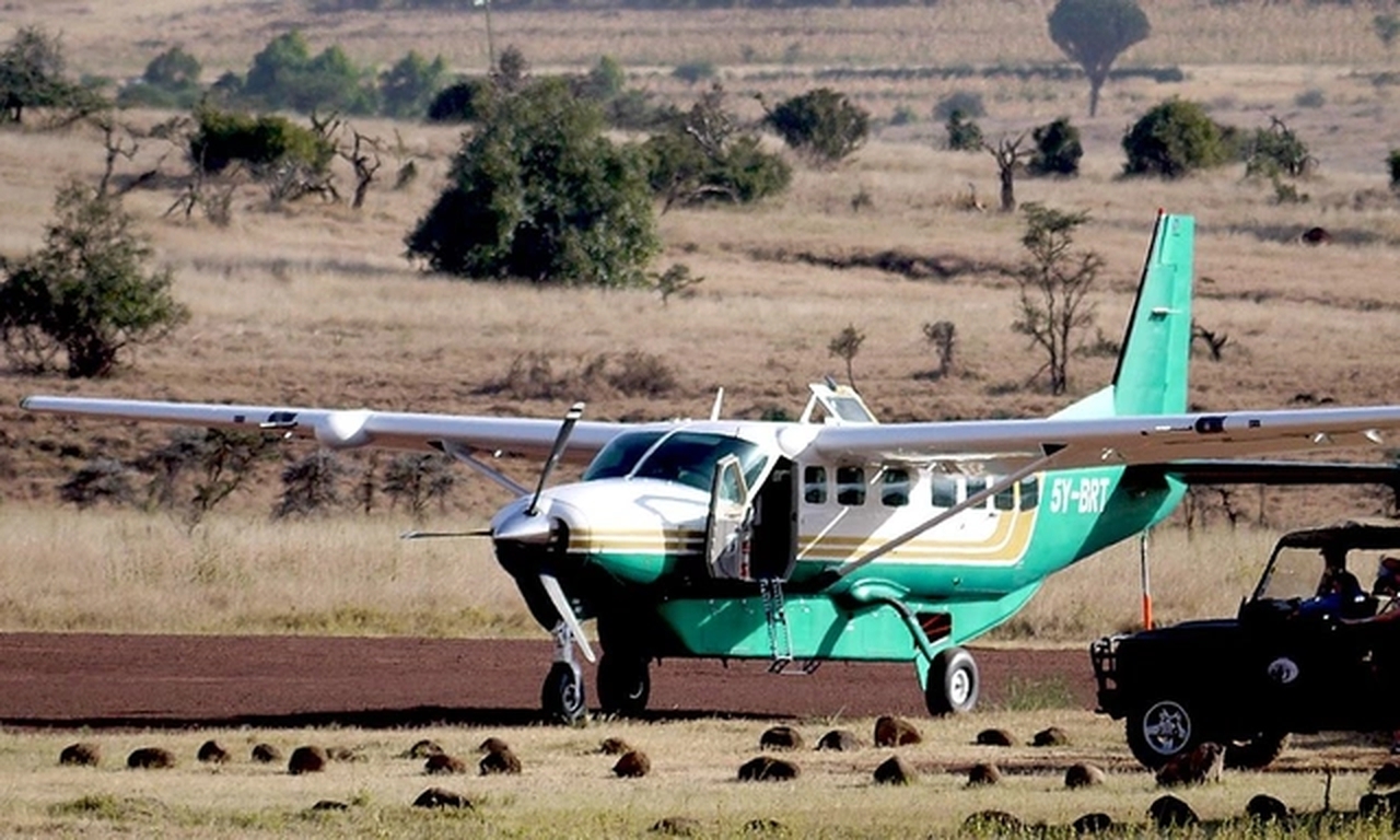   фото внешнего вида