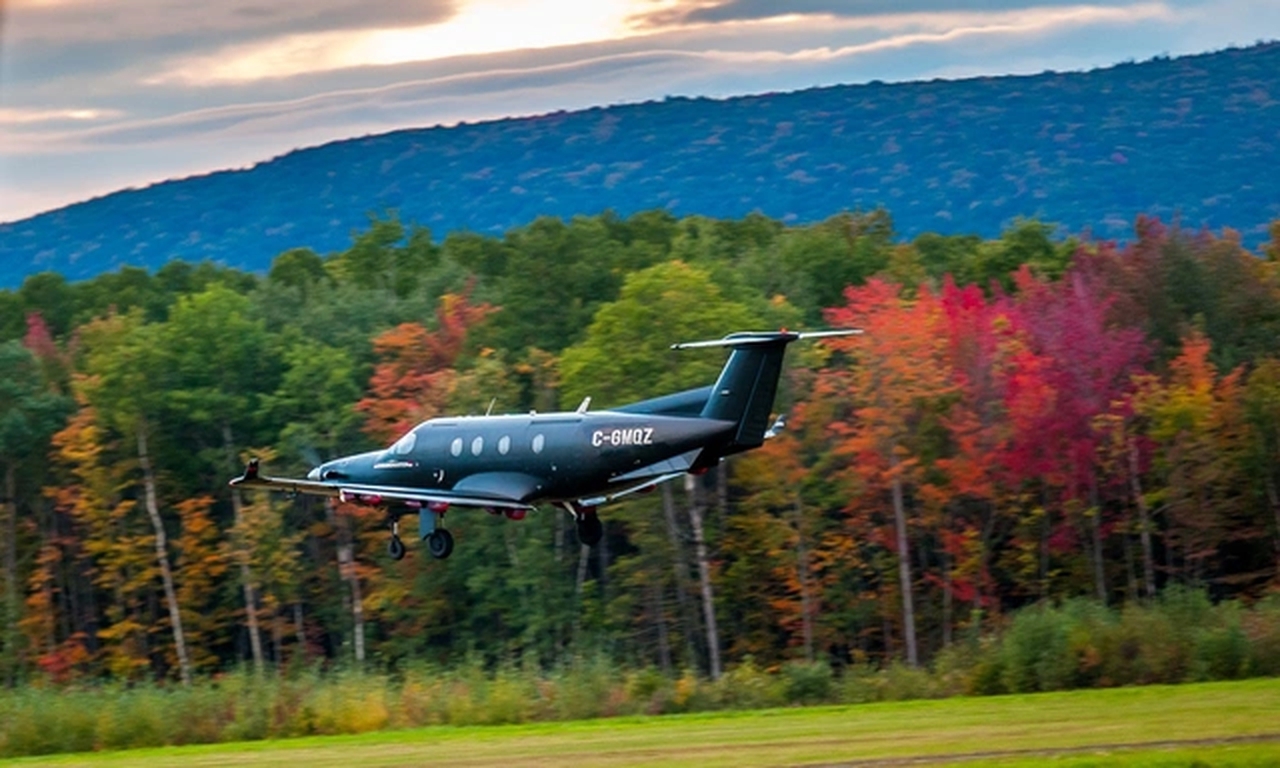   фото внешнего вида