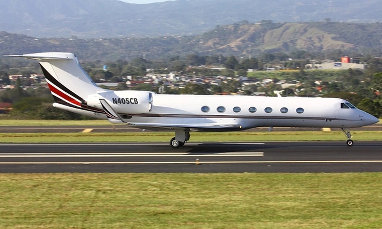   фото внешнего вида