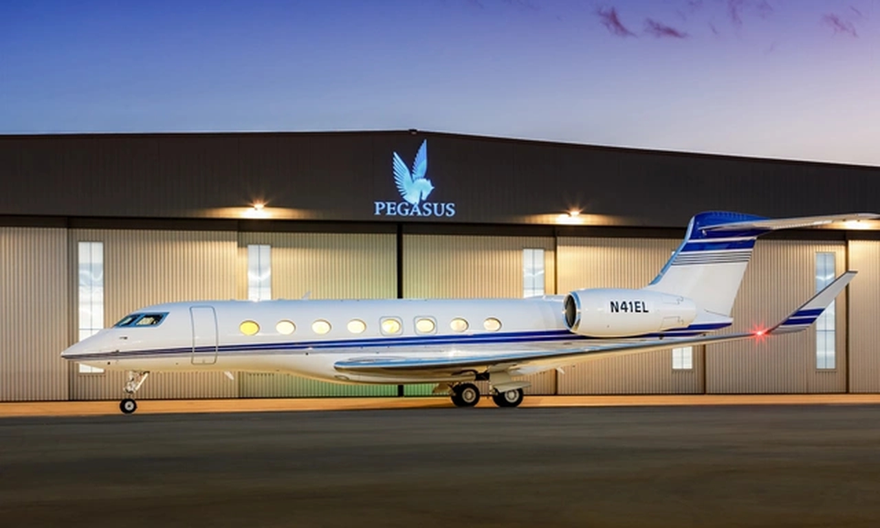   фото внешнего вида