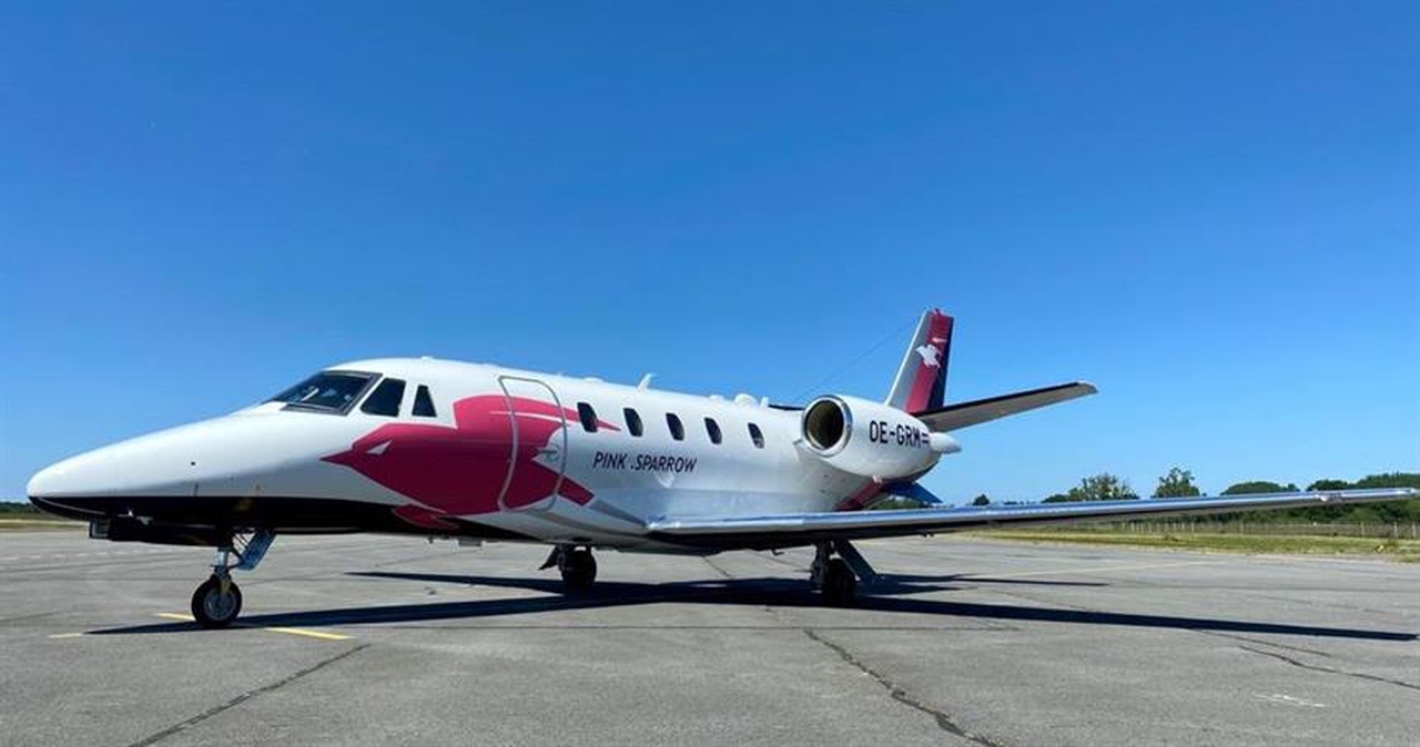   фото внешнего вида