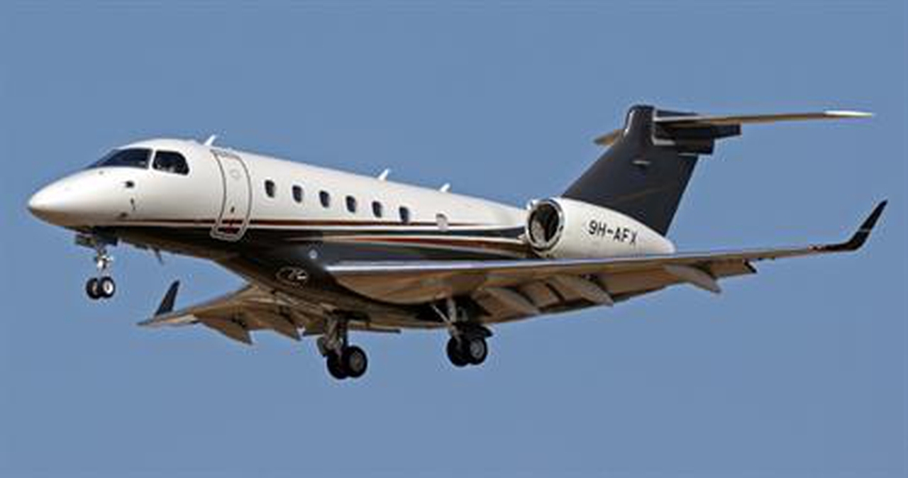   фото внешнего вида