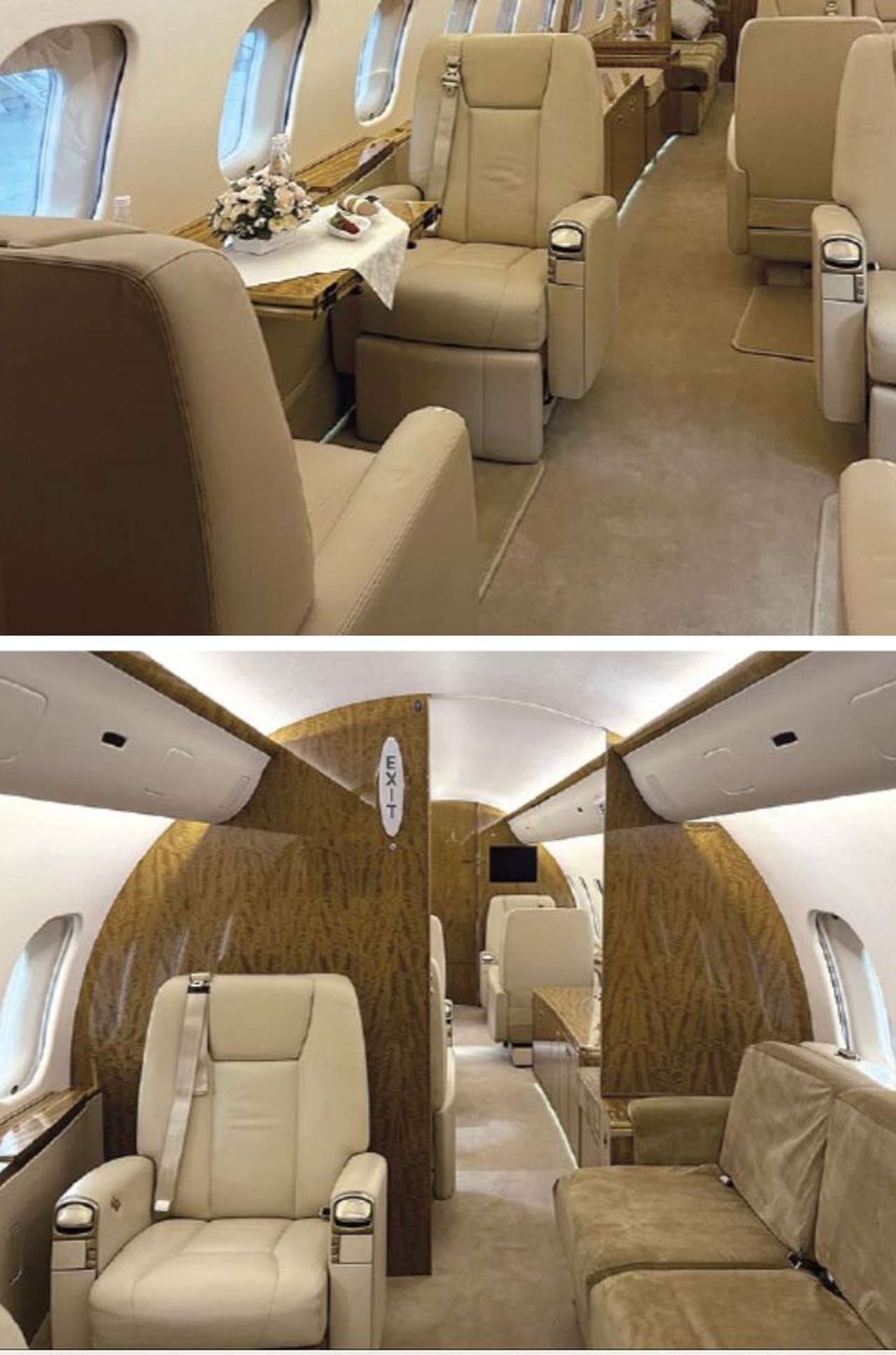   фото внешнего вида