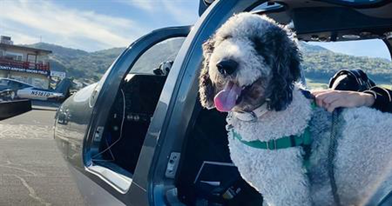   фото внешнего вида