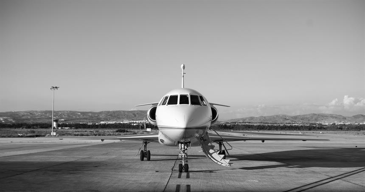   фото внешнего вида