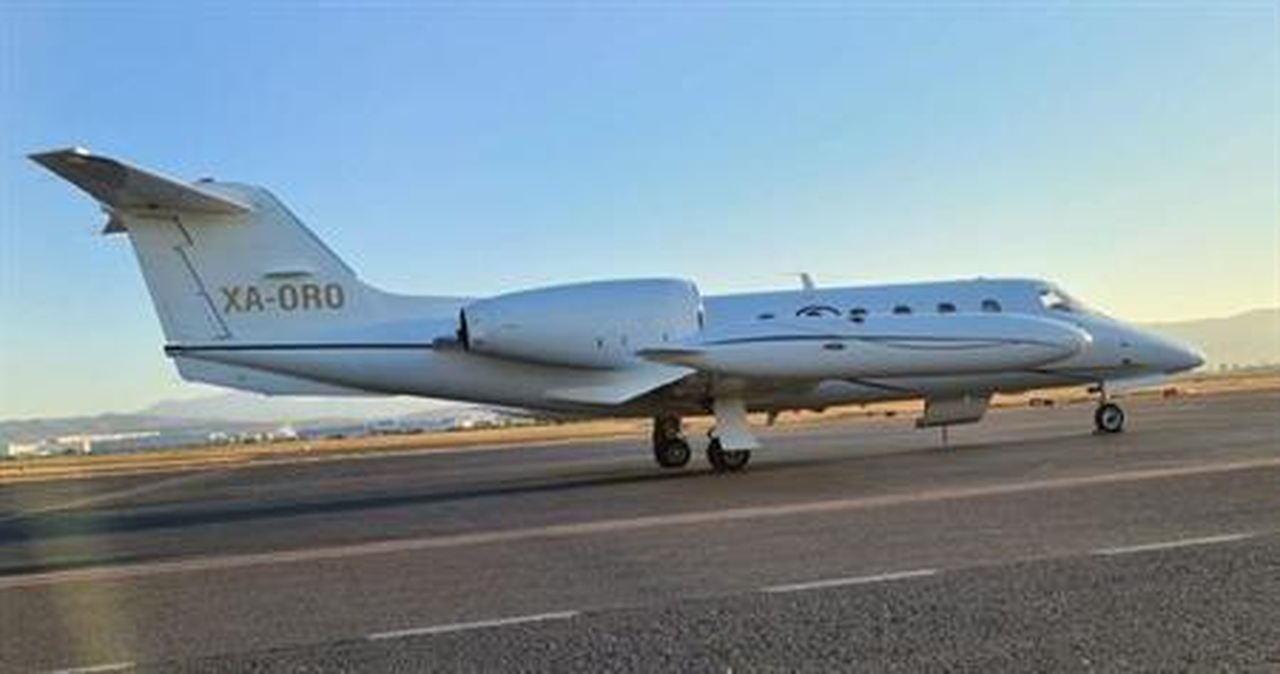   фото внешнего вида