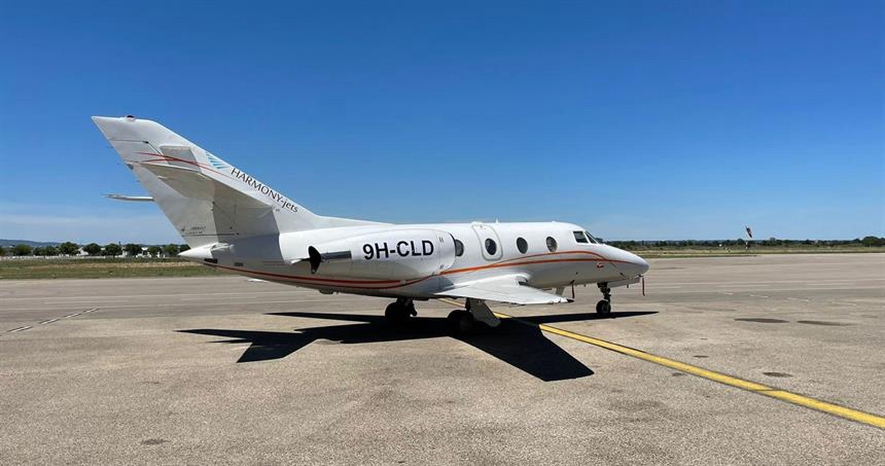   фото внешнего вида