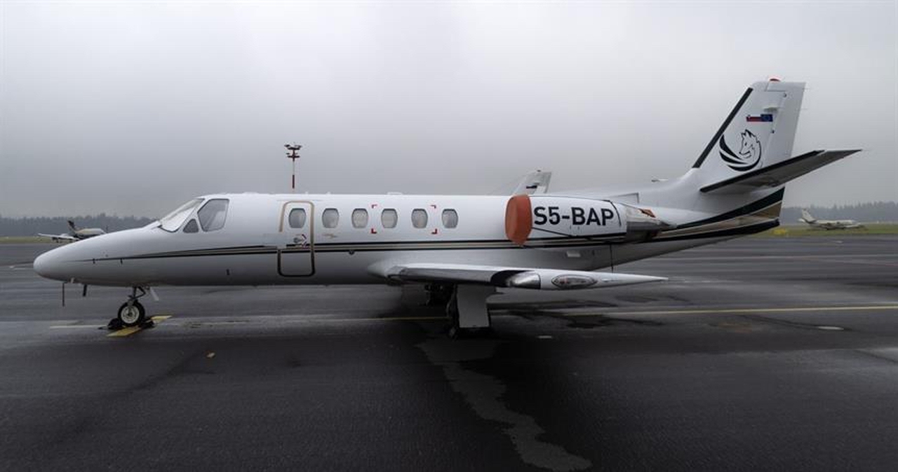   фото внешнего вида