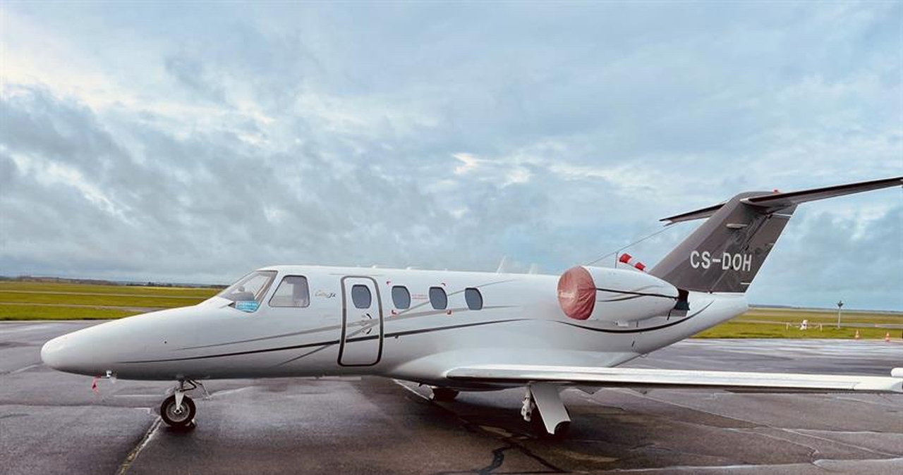   фото внешнего вида