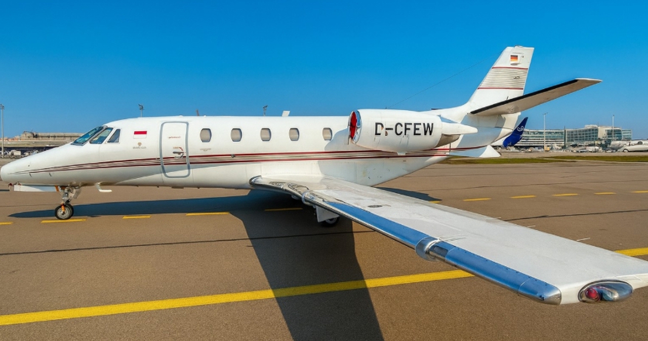 Citation XLS
